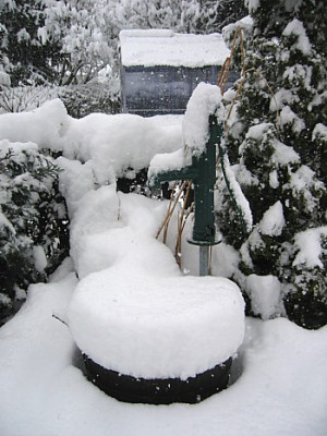 schnee_4.3.06.JPG