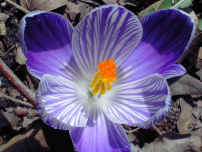 PICT0940.jpg