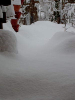 schnee-05-03-06-2.jpg