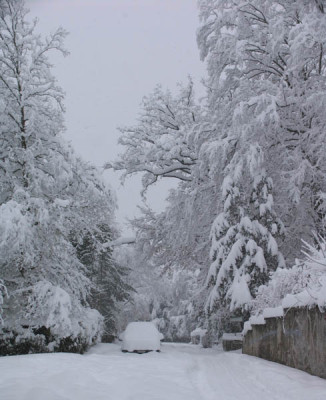 Schnee_5.3.2006.jpg