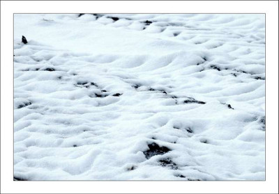 Schneespuren_1_04-03-06.jpg