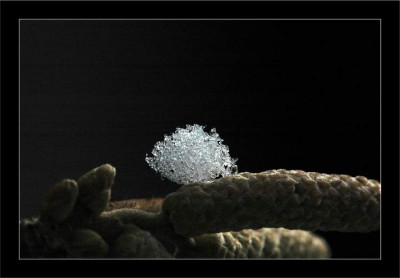 Schnee_1__04-03-06.jpg