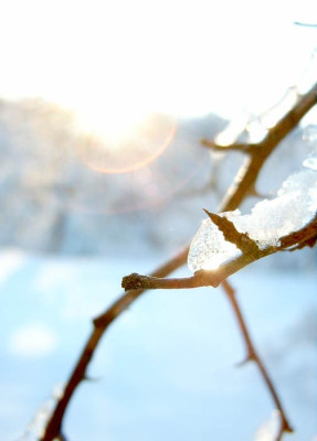 wintereinbruch.jpg