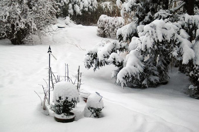 wintermaerz2033.jpg