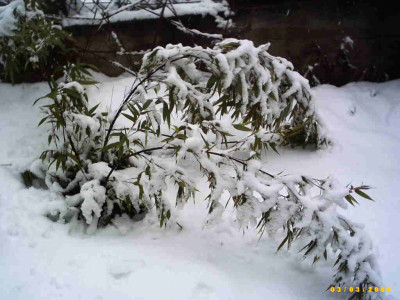 2006_0304Bild0035.JPG
