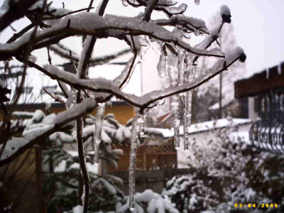 2006_0304Bild0047.JPG