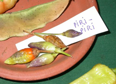 cpiri.jpg