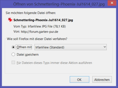 Schmetterling_herunterladen.jpg