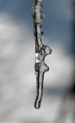 zapf2145.jpg