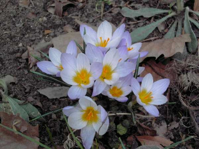 PICT0932.jpg