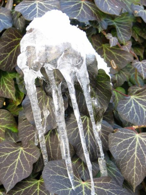 eiskaltes_haendchen.jpg