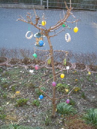 Osterbaum_1_1_1.jpg