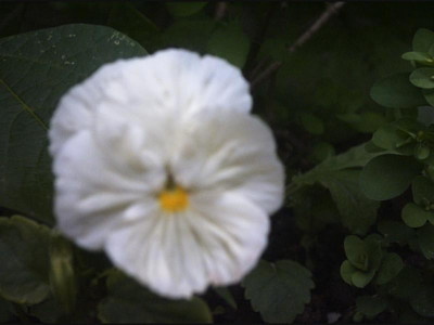 PHTO0258.JPG