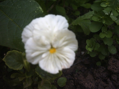 PHTO0263.JPG