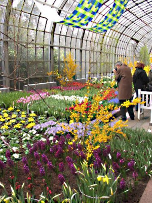 fruehlingsblumenausstellung_2825.jpg
