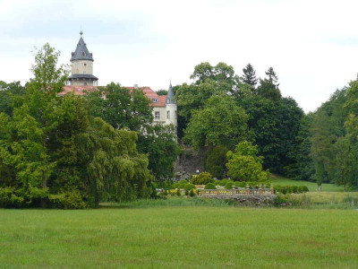 P1170098(1).JPG