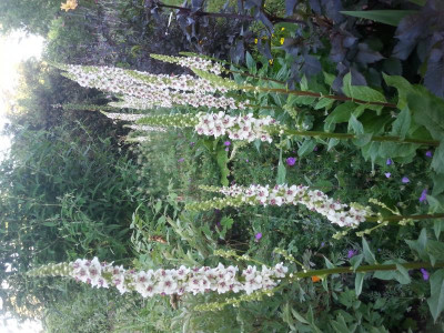 20150630_065633.jpg