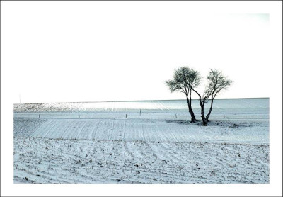 Baumansichten_1_12-03-06.jpg