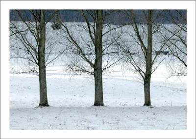 Landleben_im_Marz_1_12-03-06.jpg