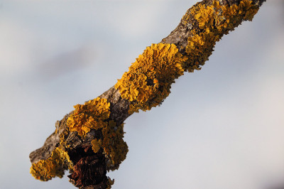 farbe2253.jpg