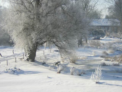 Schnee_12.JPG