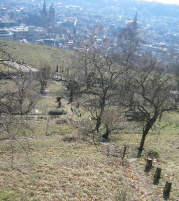 BlauerDunst.jpg