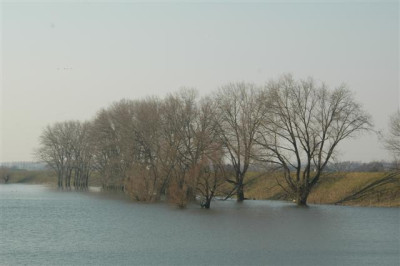 05H783_Small.JPG