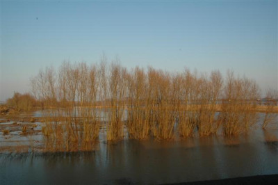 05H807_Small.JPG