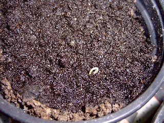 Web_SIMG0024-3.jpg