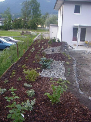 wall_bepflanzt5.jpg