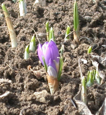 DSCN3634_076.jpg