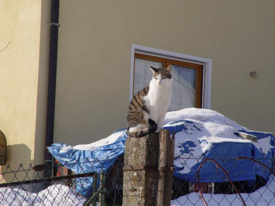 DSC02674.jpg