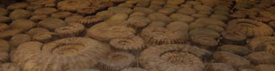 Bodenplatten_2f.jpg