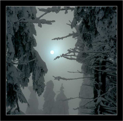 Waldansichten_3_Brocken_17-03-2006.jpg