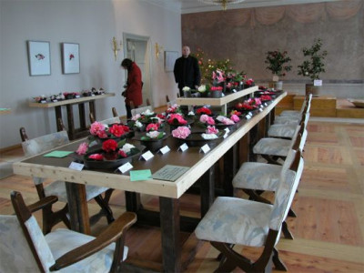 Kamelienblutenausstellung.jpg