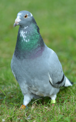 DSC_6960.jpg