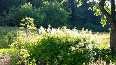 WP_20150626_08_18_28_Pro.jpg