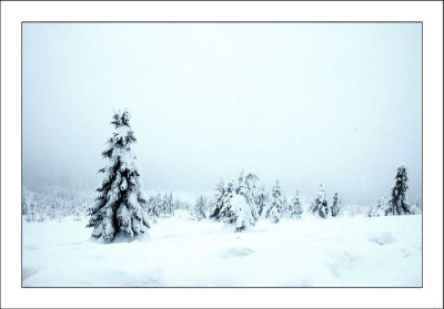 Harz_Brocken_2_17-03-2006.jpg