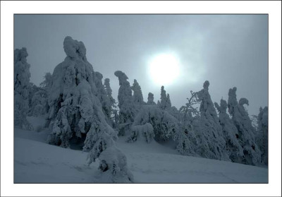 Harz_Brocken_4_17-03-2006.jpg