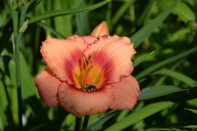 DSC_3107.jpg
