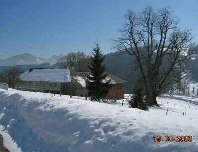 2006_03_19.jpg