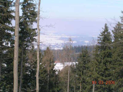 2006_03_19__12.jpg