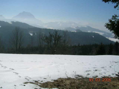 2006_03_19__11.jpg