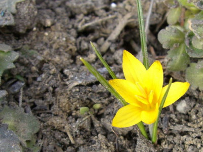 21.03.2006_14-58-32_0005_Groenveranderung.JPG