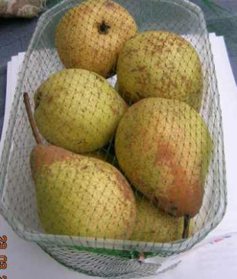 DSCN3395.jpg