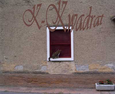 katze.jpg