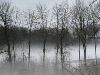 Bodennebel.jpg