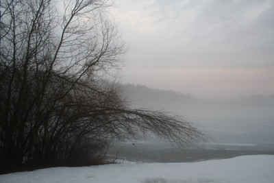 Nebellandschaft-2.jpg