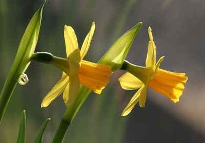 Tete-Tete_vor-belebtem-Hintergund.jpg