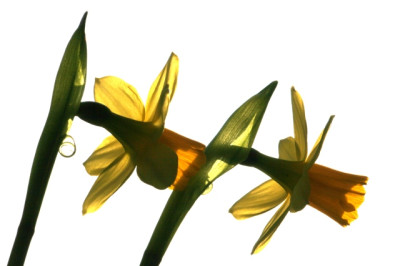 Tete-Tete_vor-bewolktem-Himmel.jpg